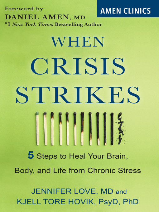 Cover image for When Crisis Strikes